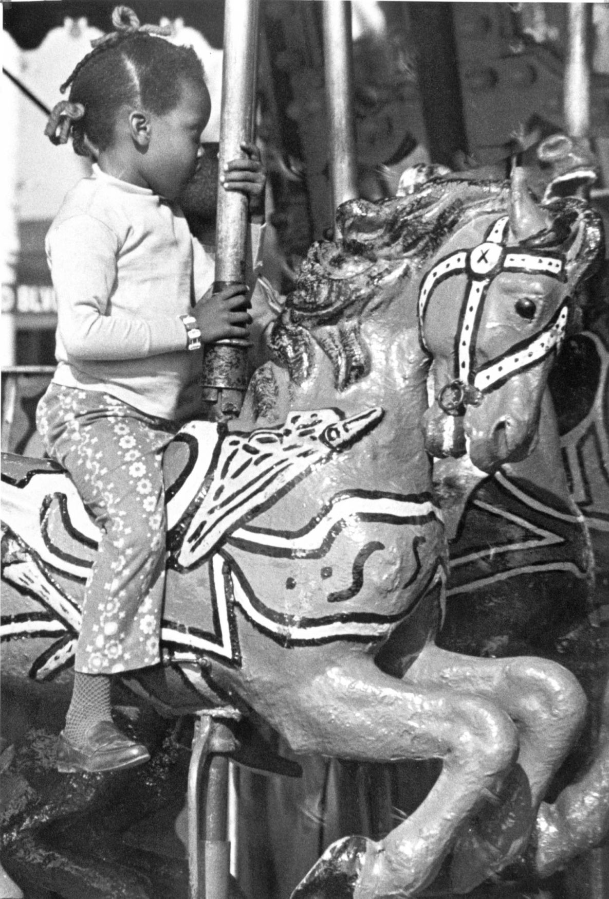 FAIRS: Dixie Classic Fair